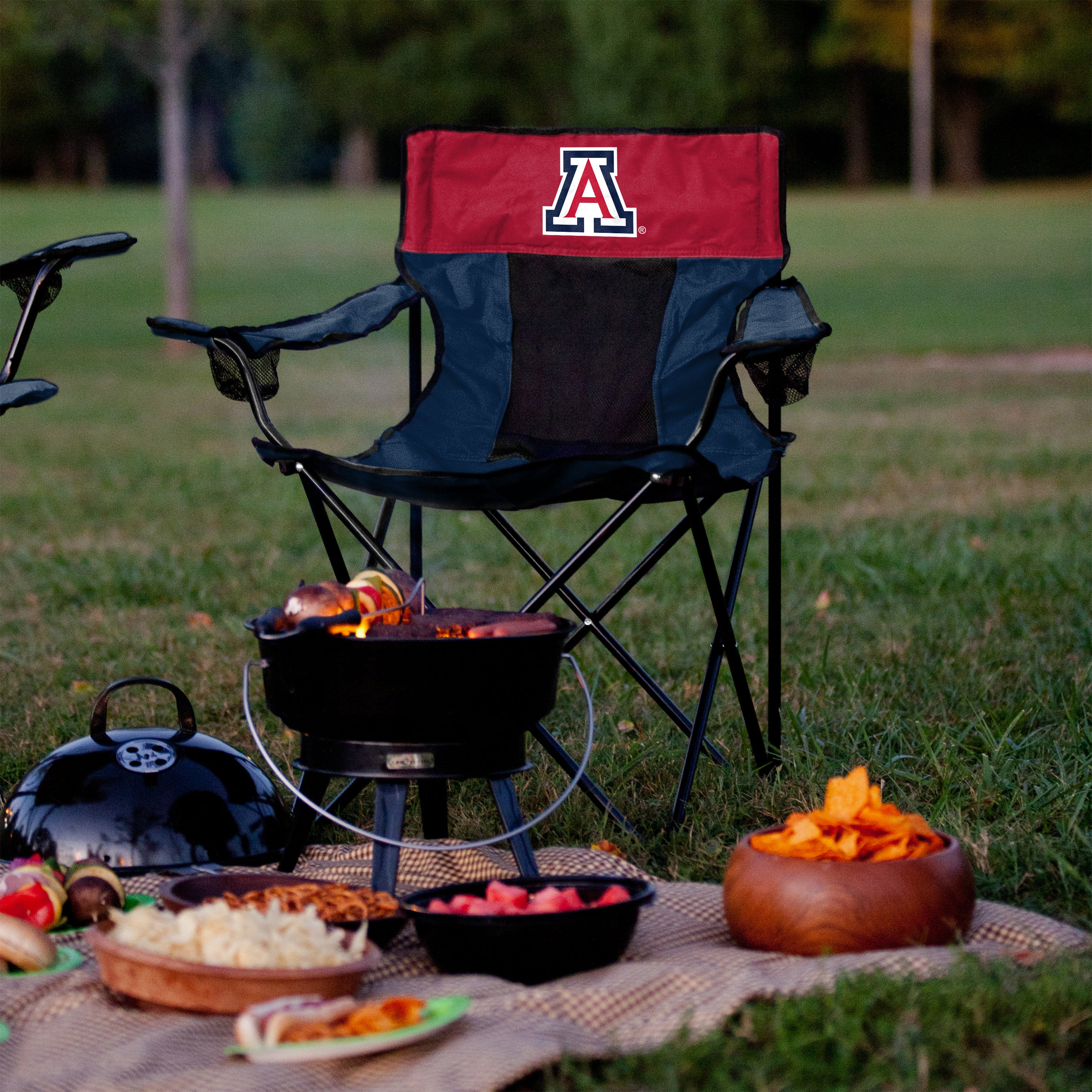 Arizona Elite Chair - Image 2