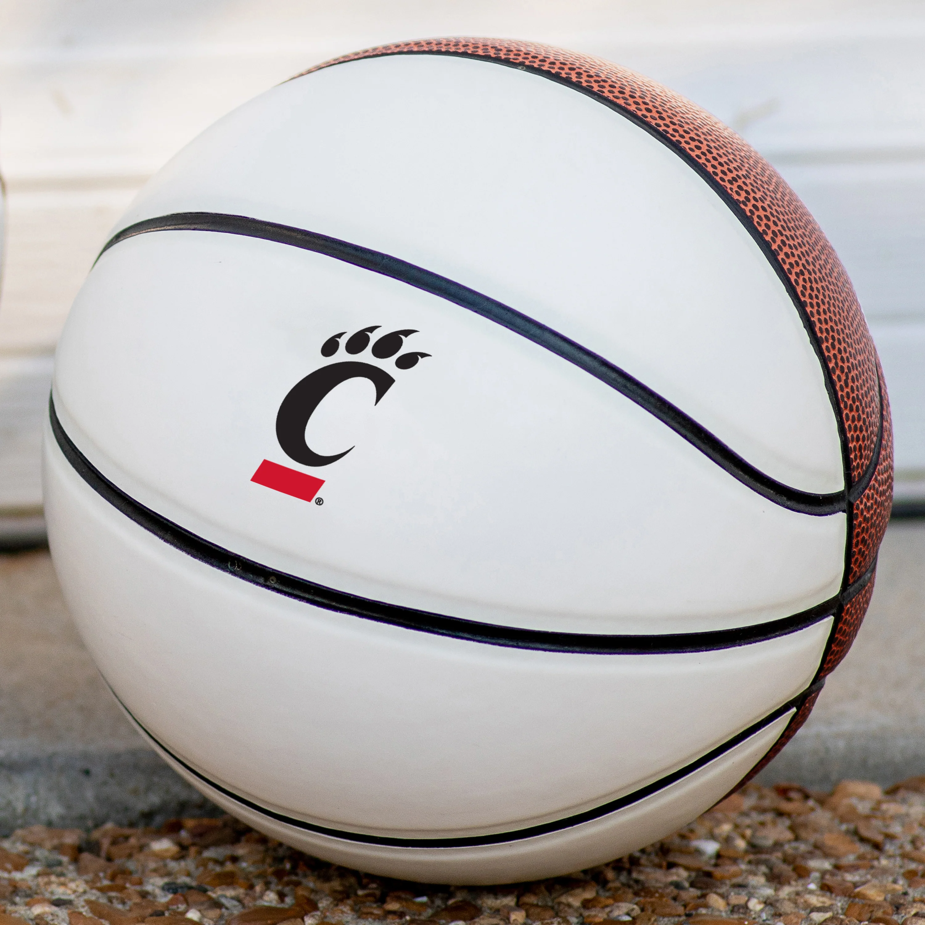 Cincinnati Mini Size Autograph Basketball - Image 2