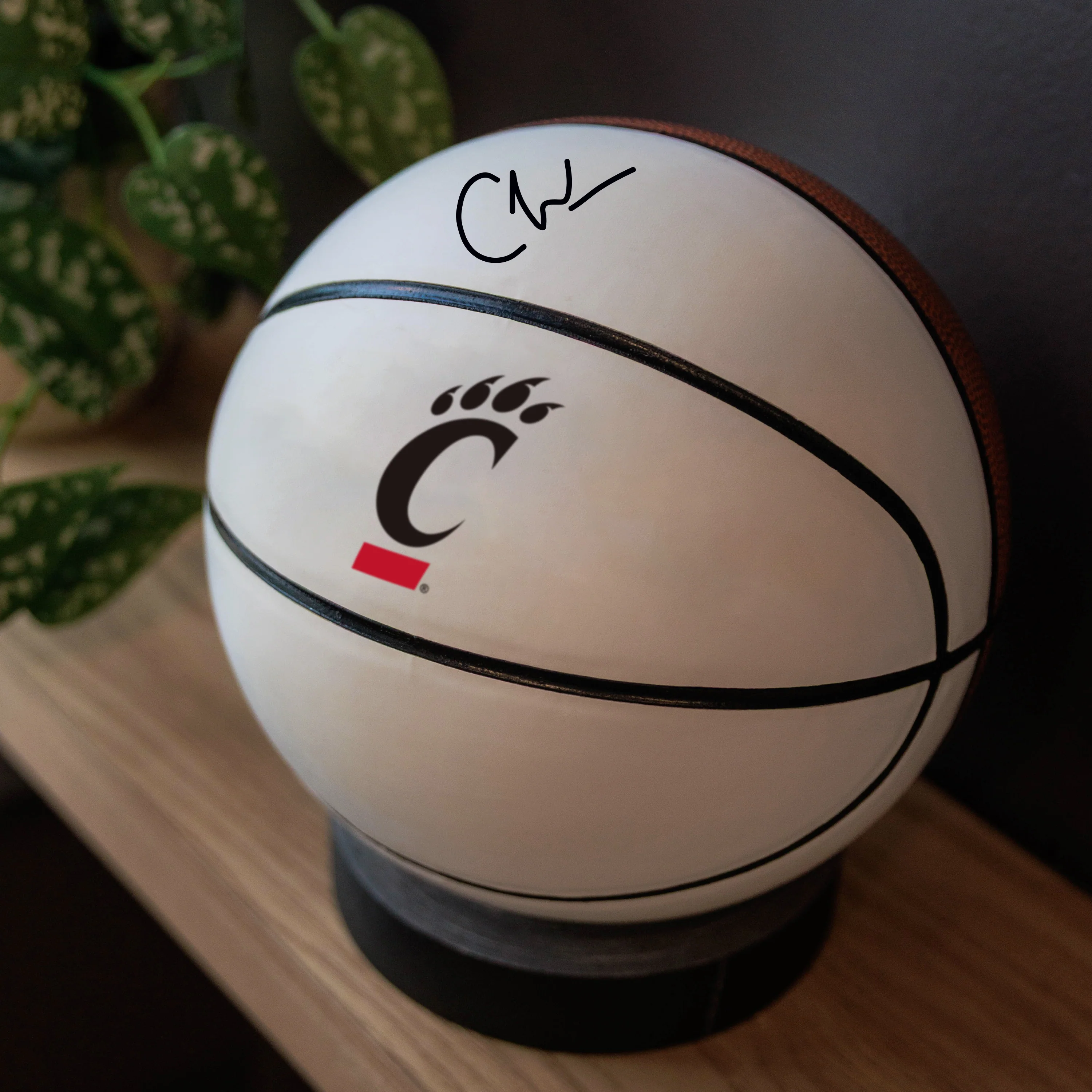 Cincinnati Mini Size Autograph Basketball - Image 6