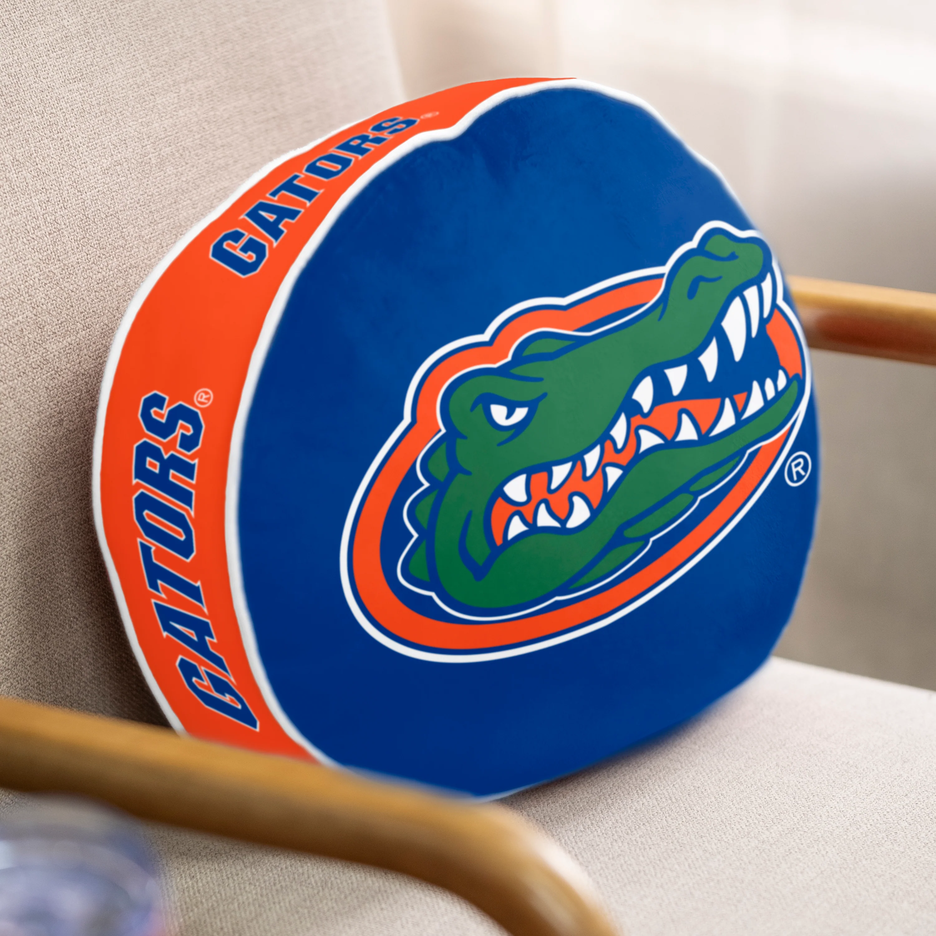 Florida Puff Pillow - Image 2