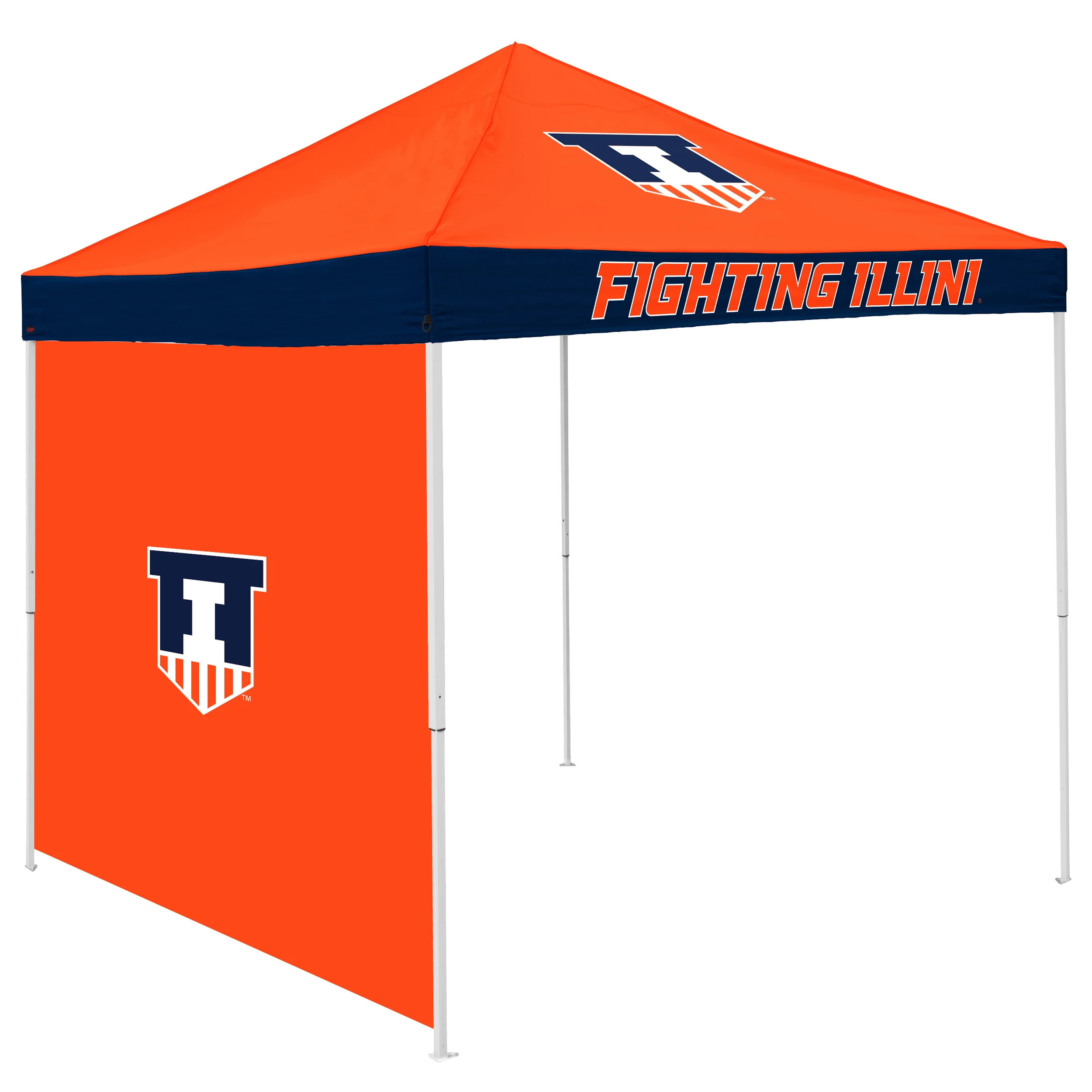 Illinois Economy Canopy - Image 2