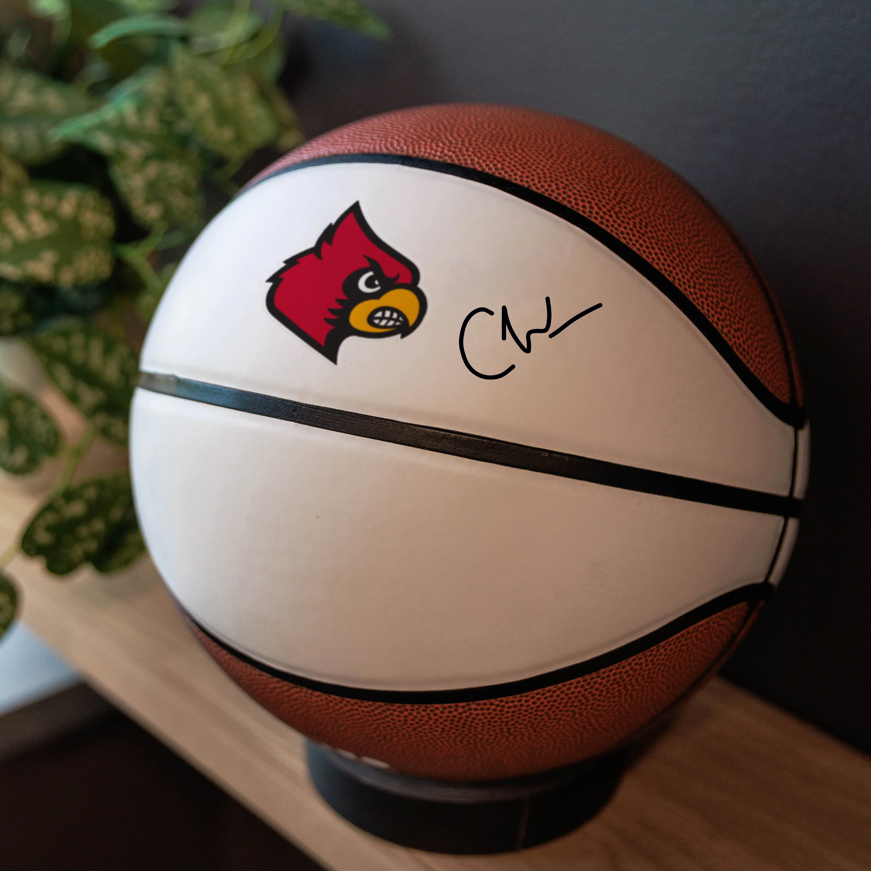 Louisville Official-Size Autograph Basketball - Image 6