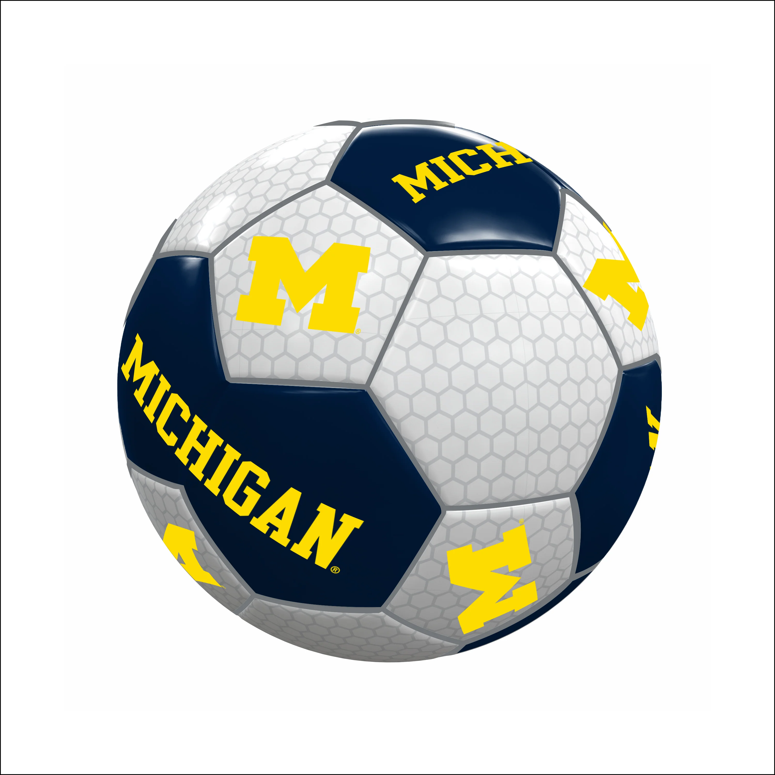 Michigan Soccer Ball