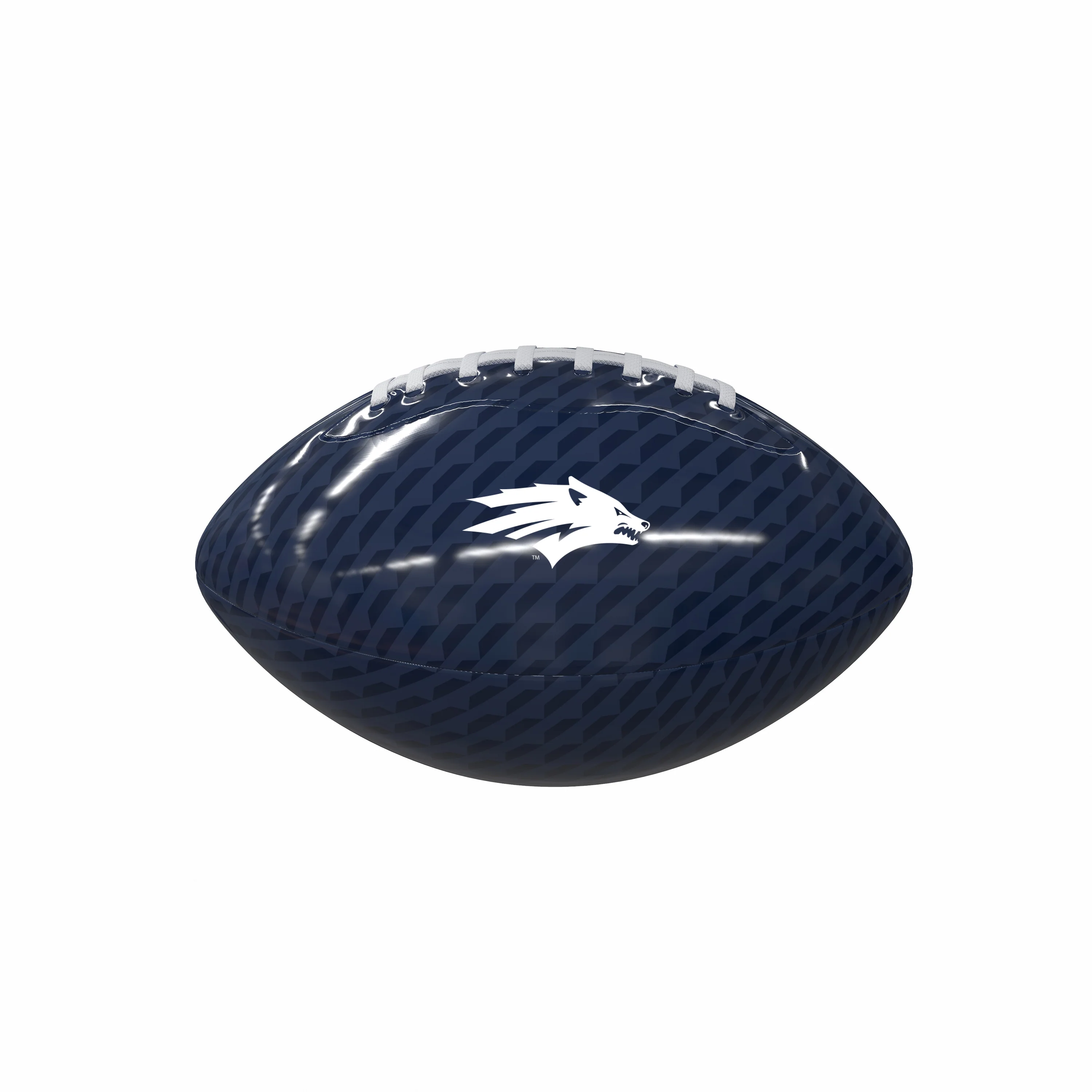 Nevada Carbon Fiber Mini Size Glossy Football