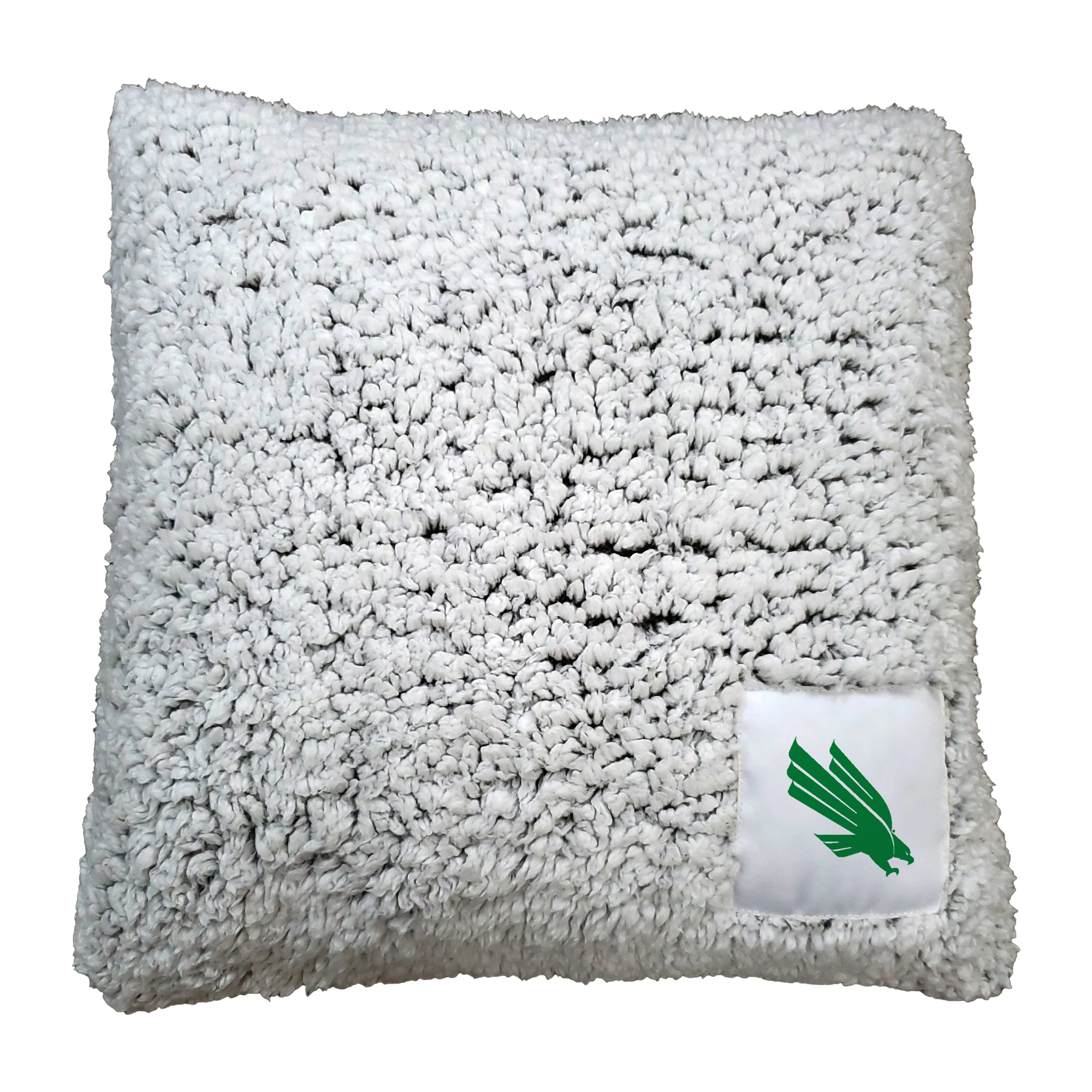 North Texas Frosty Throw Pillow