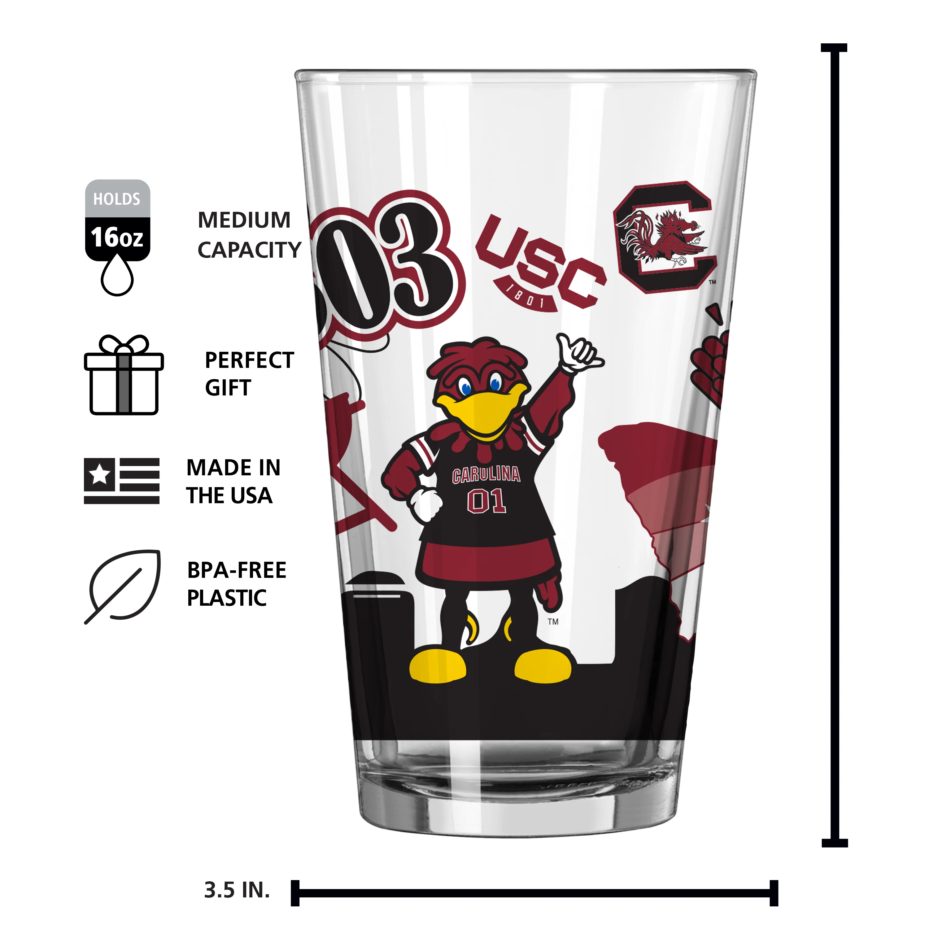 South Carolina 16oz Native Pint Glass - Image 4