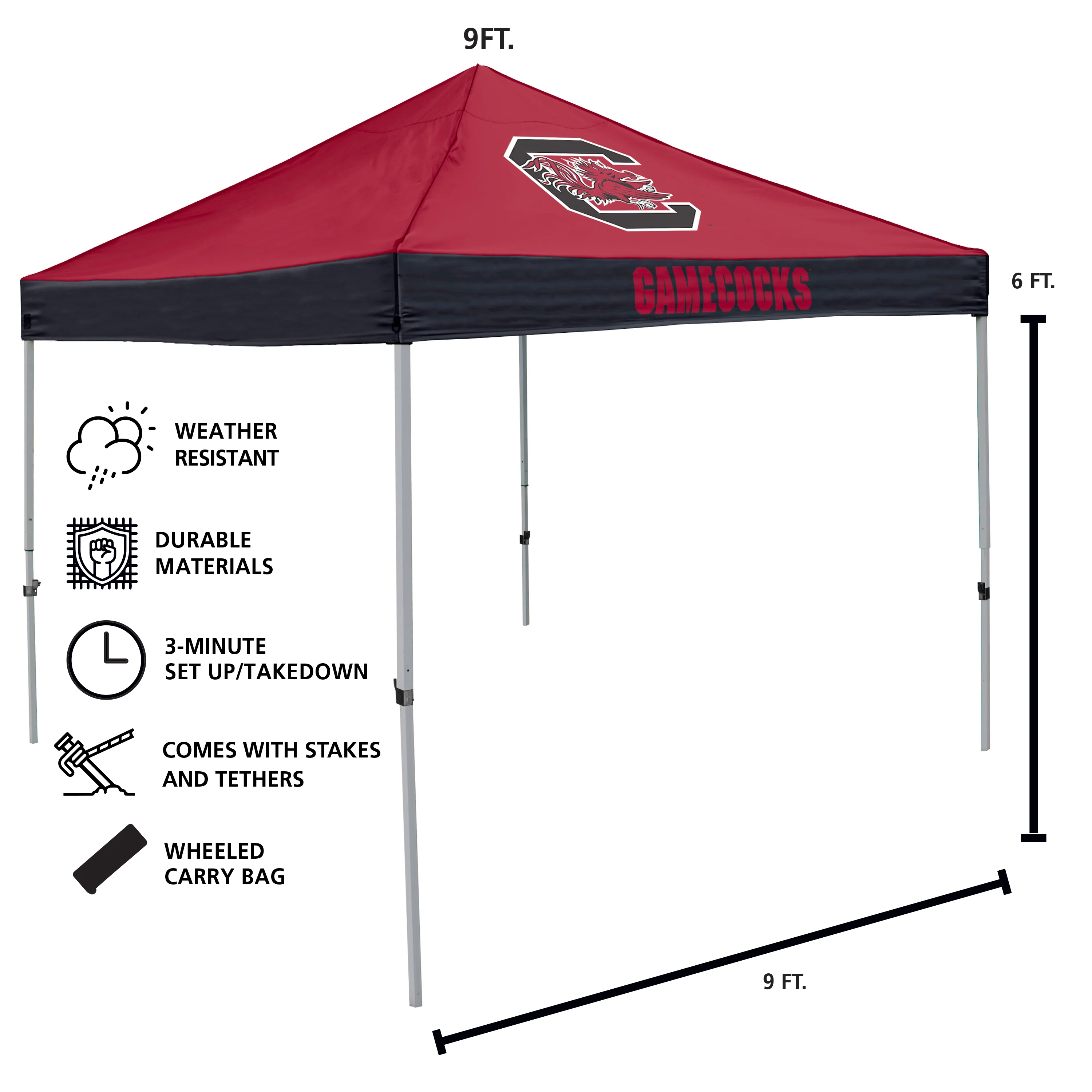South Carolina Economy Canopy - Image 3