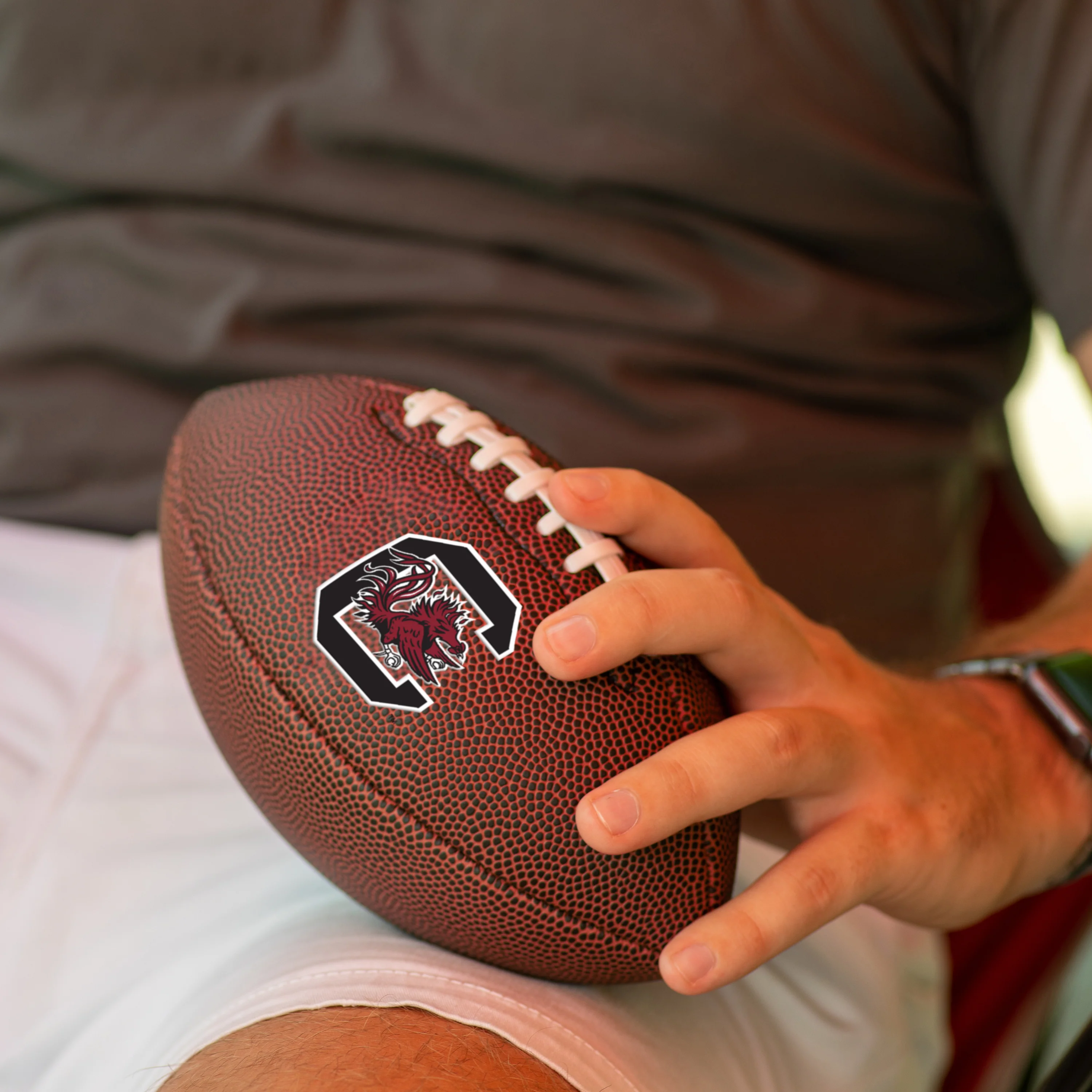 South Carolina Mini Size Composite Football - Image 6