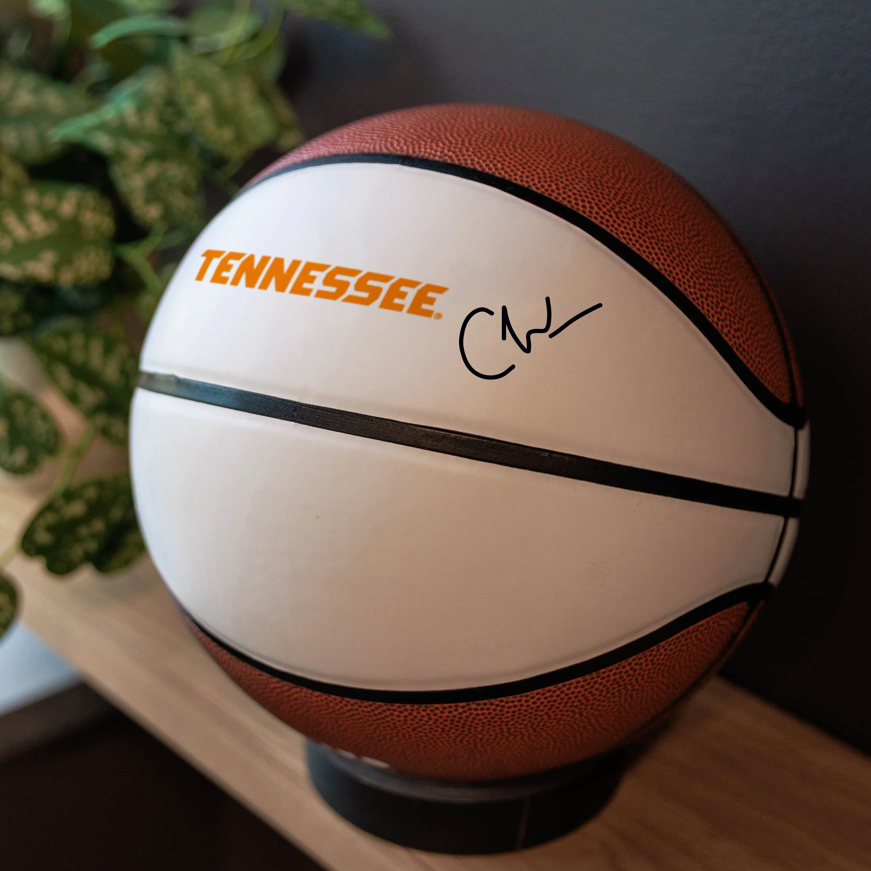 Tennessee Official-Size Autograph Basketball - Image 4