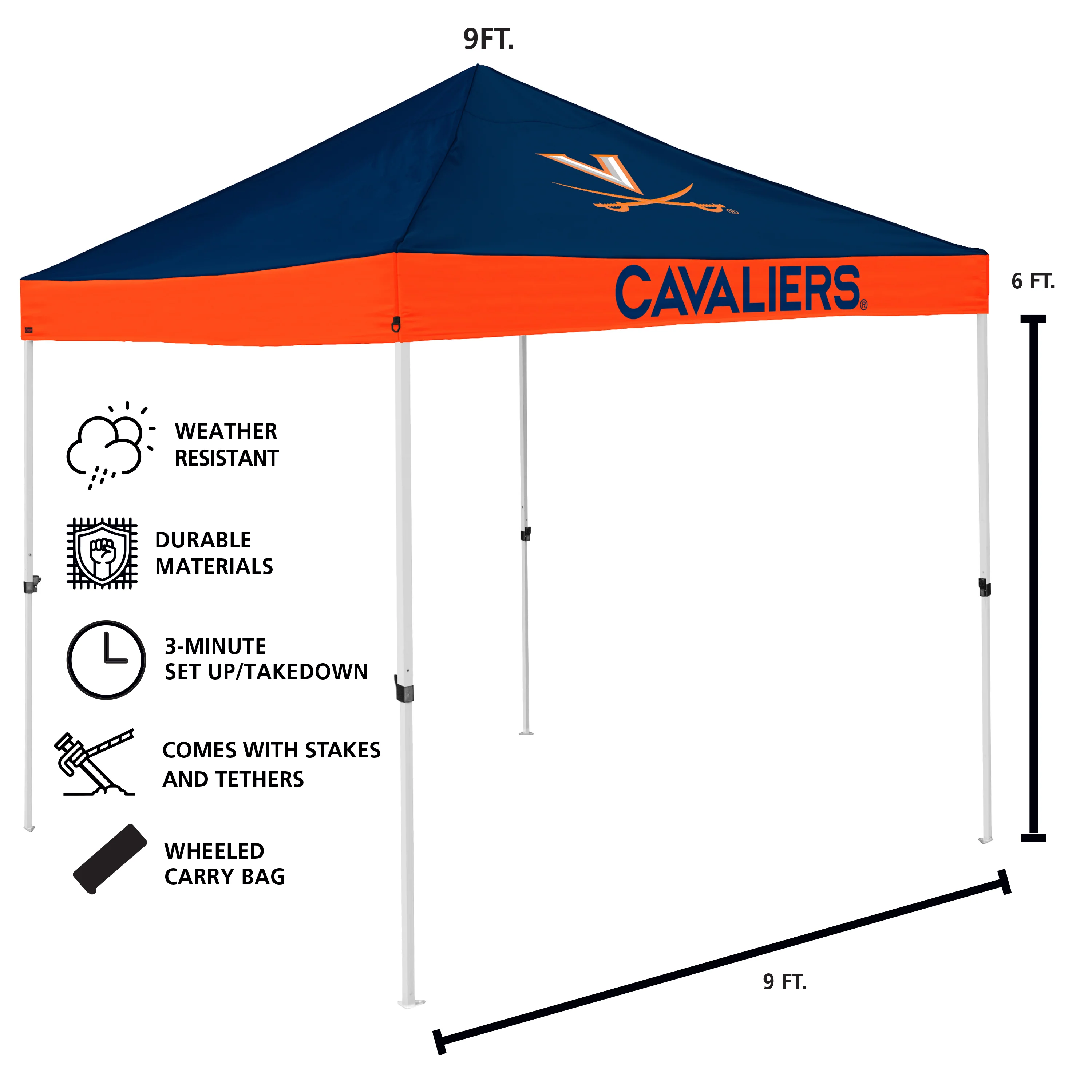 Virginia Economy Canopy - Image 3