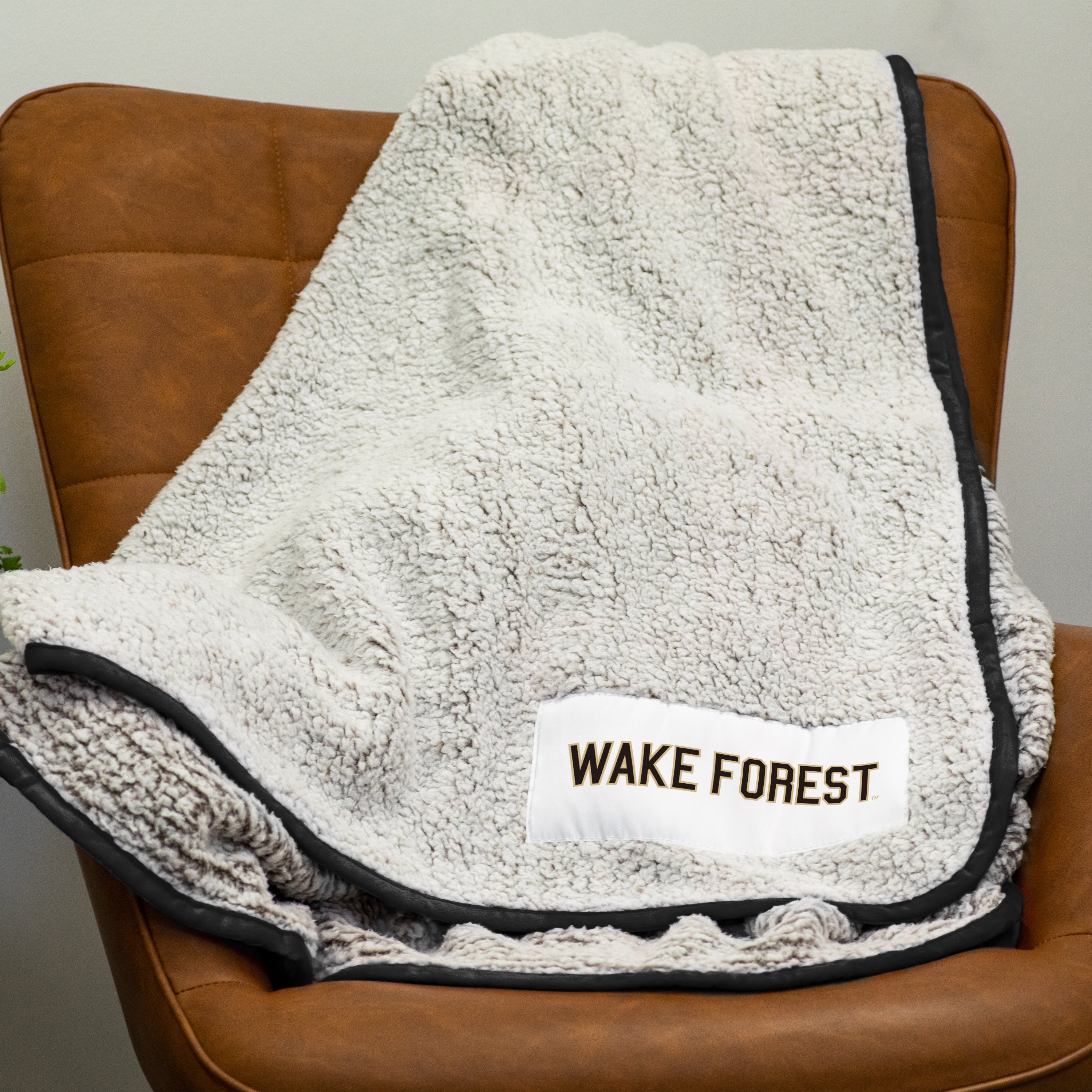 Wake Forest Frosty Fleece - Image 2