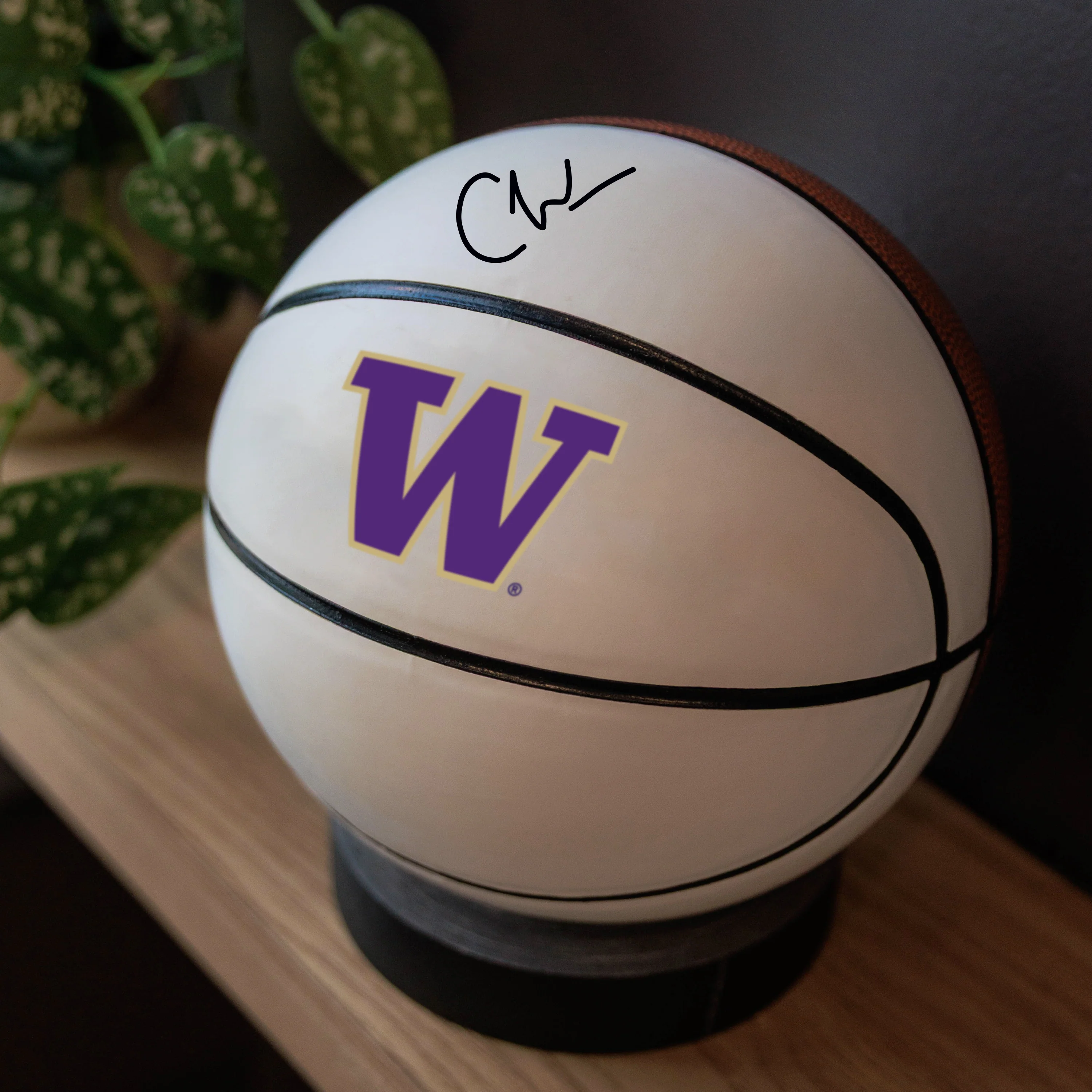 Washington Mini Size Autograph Basketball - Image 5