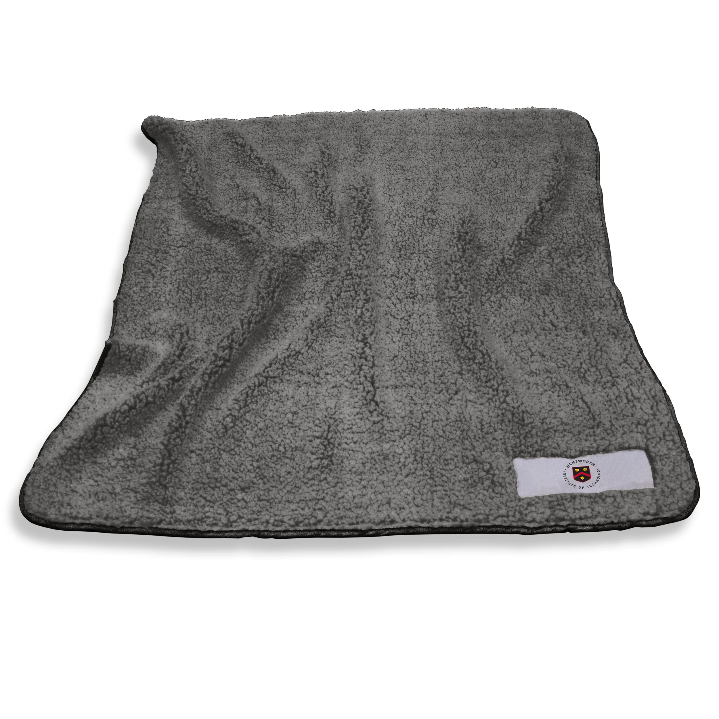 Wentworth Institute of Technology Color Frosty Fleece