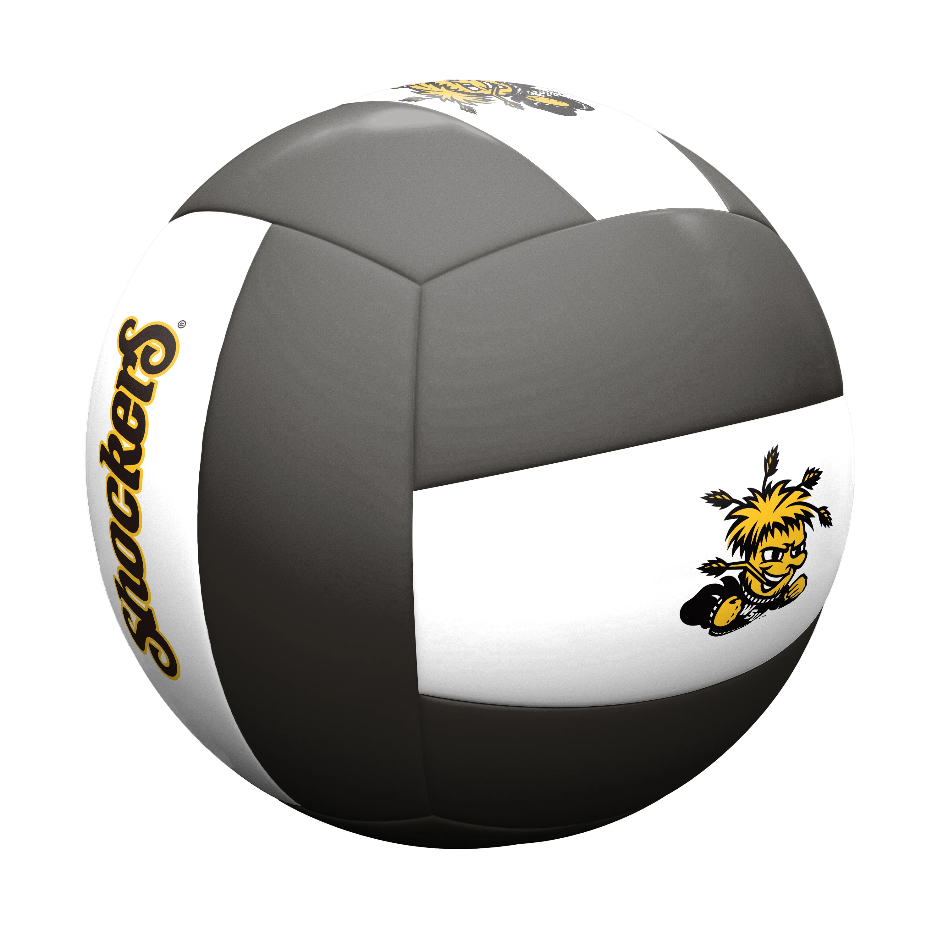 Wichita State Volleyball